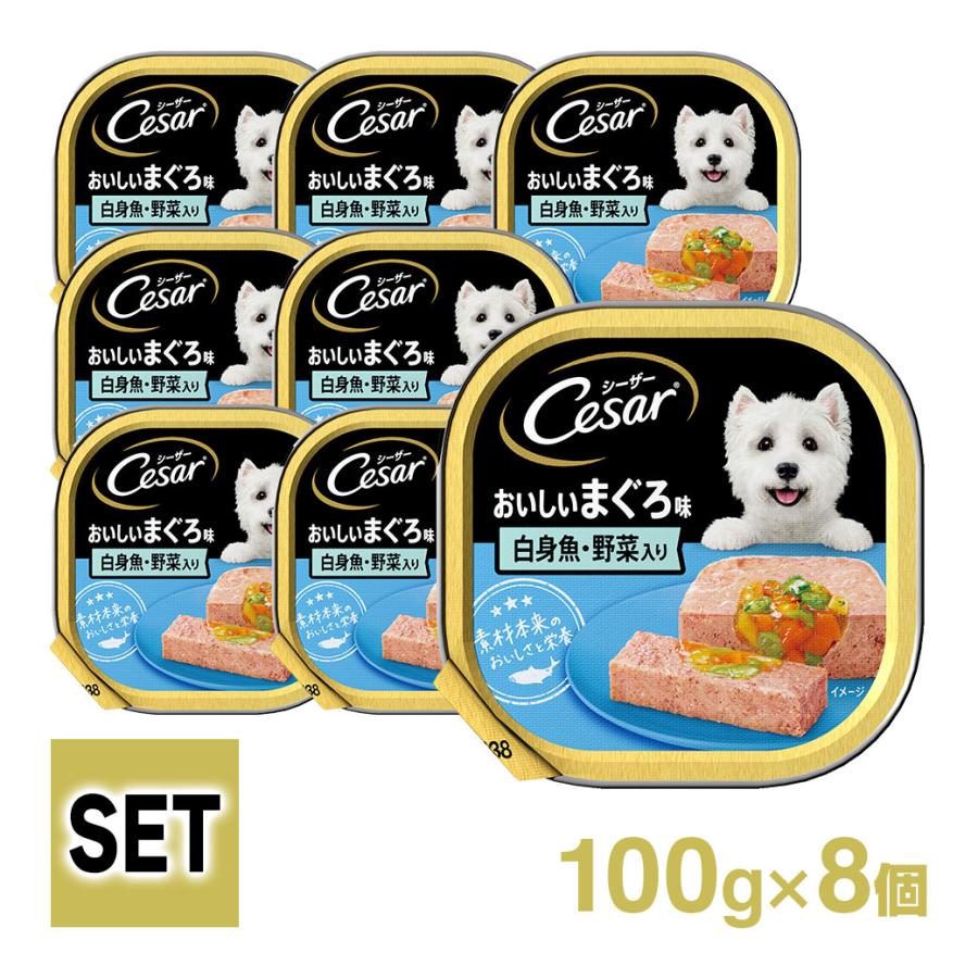シーザー Cesar まぐろ 白身魚 野菜 100g 8個入り ドッグフード ウェットフード 総合栄養食 全犬種 オールステージ セット マースジャパン ペッツビレッジクロスpaypayモール 通販 Paypayモール
