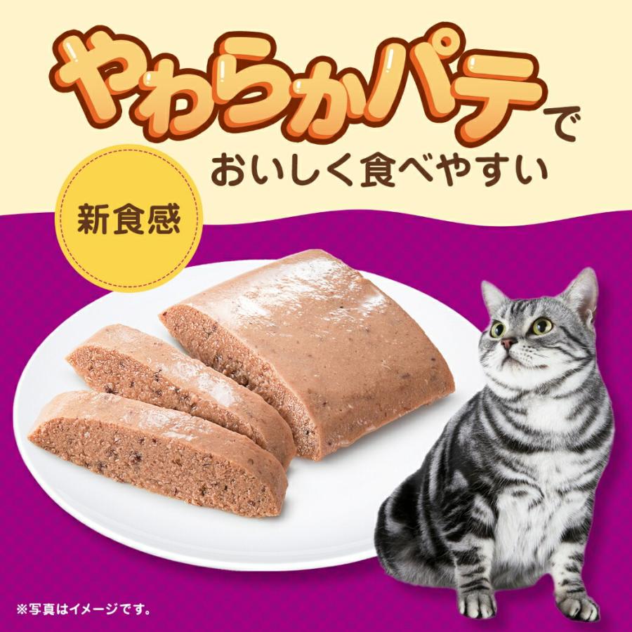 カルカン Kalkan パウチ やわらかパテ お魚・お肉ミックス まぐろ・かつお・ささみ入り 着色料・発色剤 無添加 70g×16個｜kurosu｜04