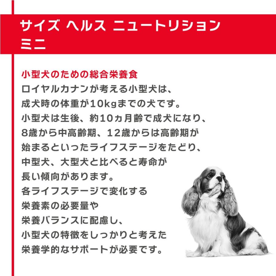 ロイヤルカナン（ROYAL CANIN） SHN-WET ミニ アダルト グレービー