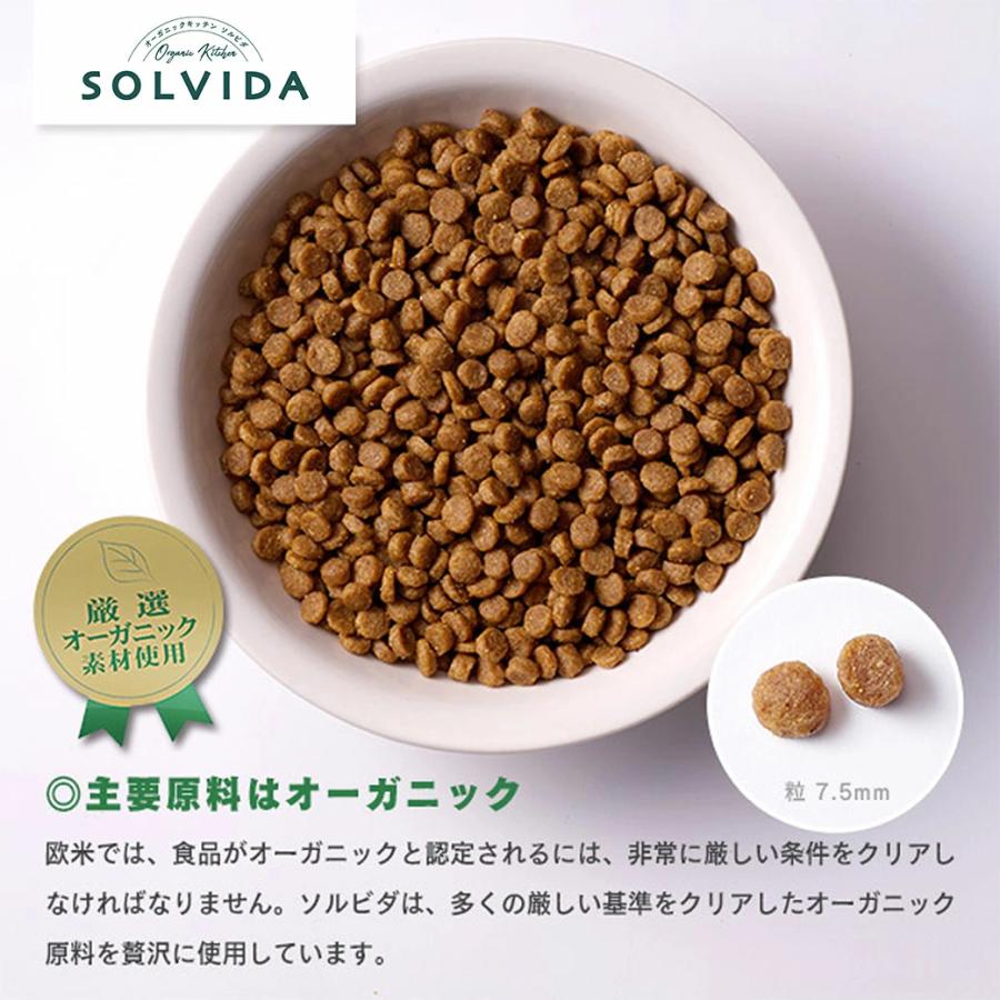 ソルビダ（SOLVIDA） オーガニックチキン 室内飼育成犬用 140g×3個