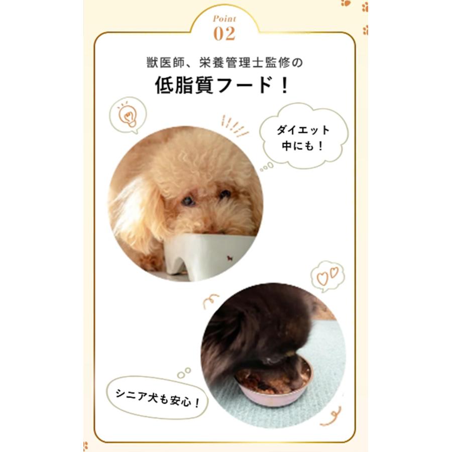 シルクフル 犬用フード 食べ比べ6個セット ビーフ味・チキン味 100g×各3個 世界初 シルク成分配合 獣医師 栄養管理士監修 |  | 06