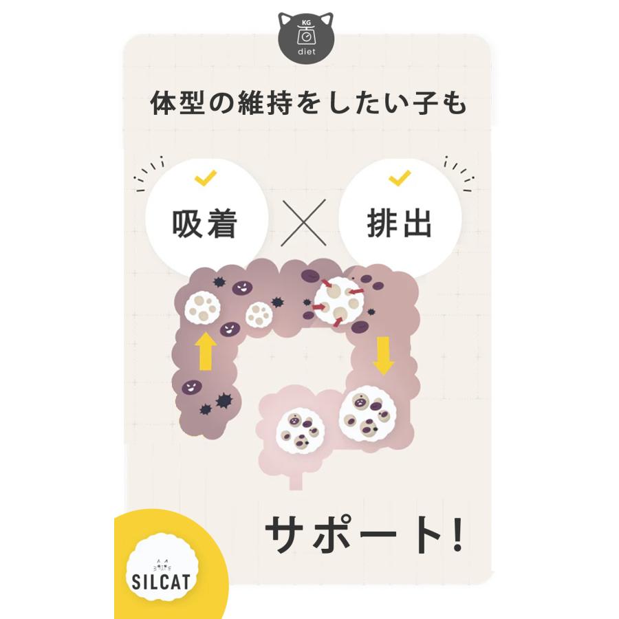 シルクフル 猫用ウェットフード マグロ味 35g 12個セット 世界初 シルク成分配合 獣医師 栄養管理士監修 特許成分 カラダシルク |  | 07