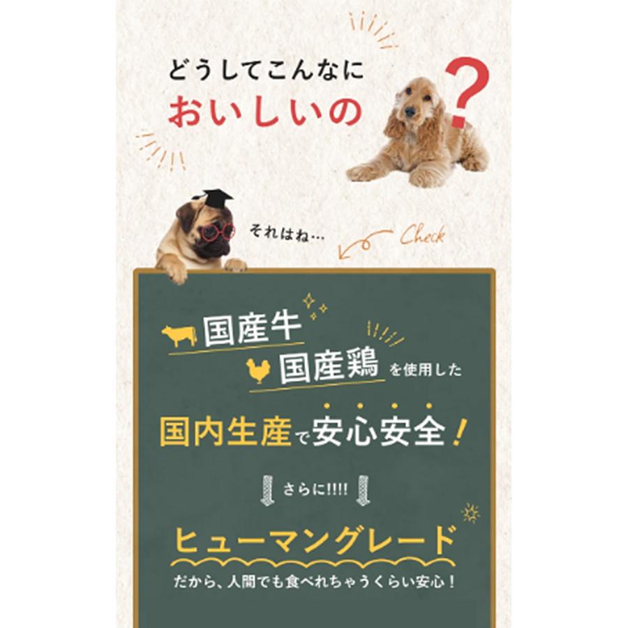 シルクフル 猫用ウェットフード マグロ味 35g 12個セット 世界初 シルク成分配合 獣医師 栄養管理士監修 特許成分 カラダシルク |  | 09