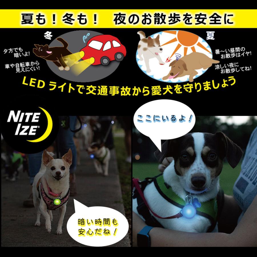 ナイトアイズ スポットリット | NITE IZE | 01