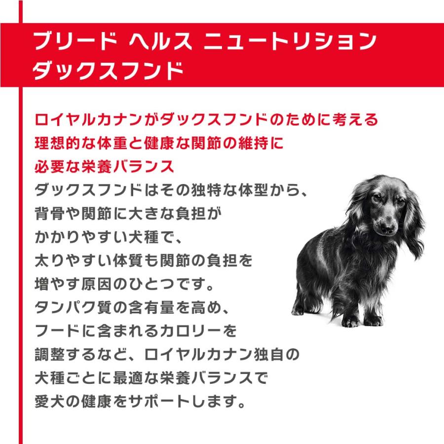 ロイヤルカナン（ROYAL CANIN） まとめ買いでお得！ロイヤルカナン BHN