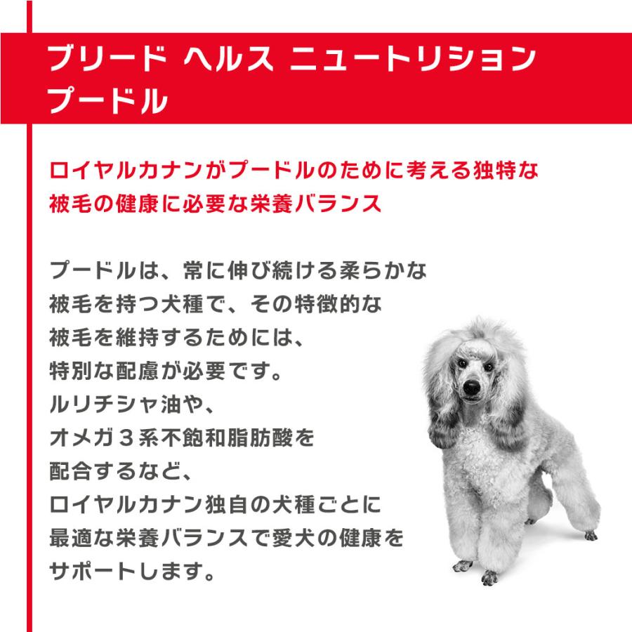 ロイヤルカナン（ROYAL CANIN） BHN プードル 8+ 中・高齢犬用 8歳以上