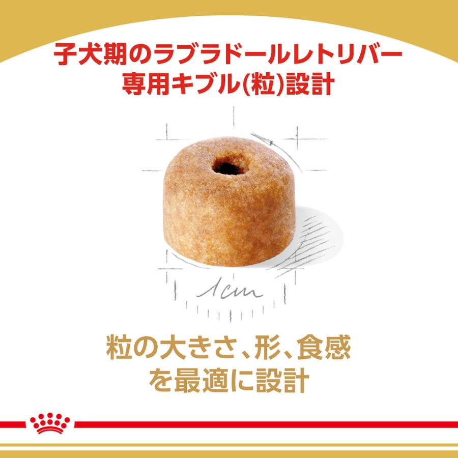 ロイヤルカナン（ROYAL CANIN） BHN ラブラドールレトリバー 子犬用 15