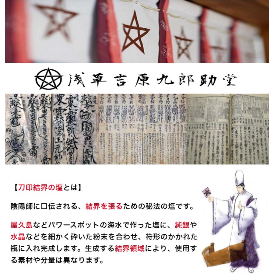 開運 【盛り塩 浄化 清めの塩】 陰陽師に伝わるパワーストーンを調合