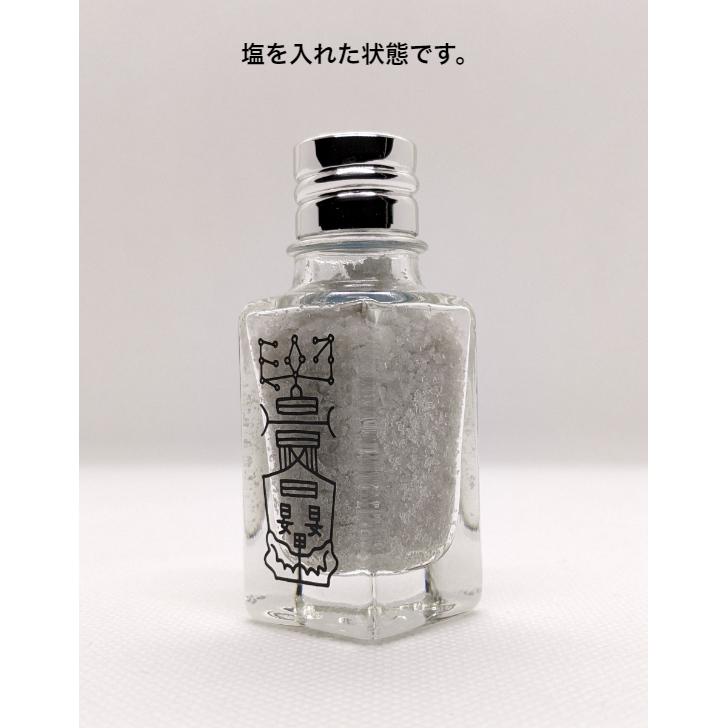開運 【盛り塩 浄化 清めの塩】 陰陽師に伝わるパワーストーンを調合