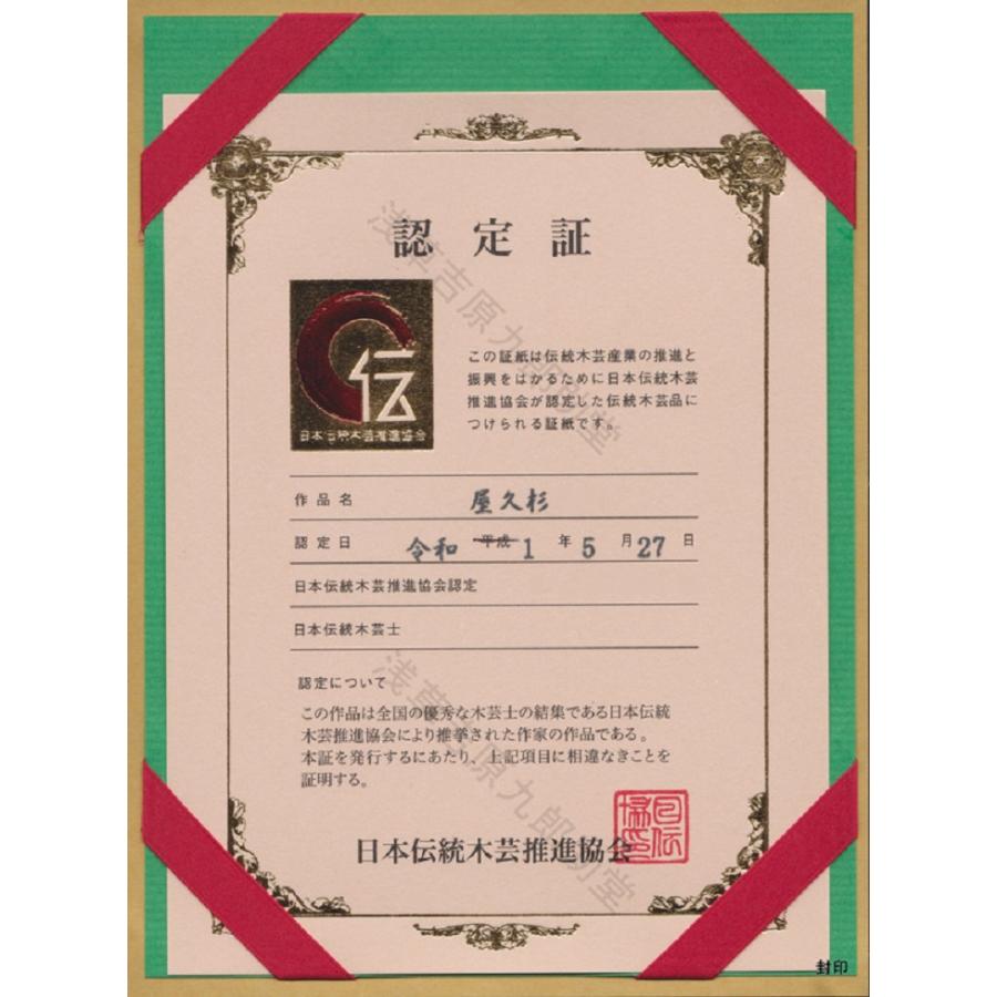 開運 【屋久杉のお守り】 悪霊や生霊の悪しきオーラや念、邪気を