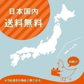 送料無料 ホンダ DAX 70 / ダックス70 ( ST70 ) フロント ドライブ スプロケット 16丁 / KITACO 530-1010216｜kurrku1｜02