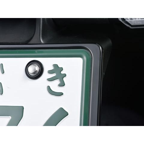 【Cページ】 DAYTONA（デイトナ） 送料無料 軽量 ナンバープレート ホルダー