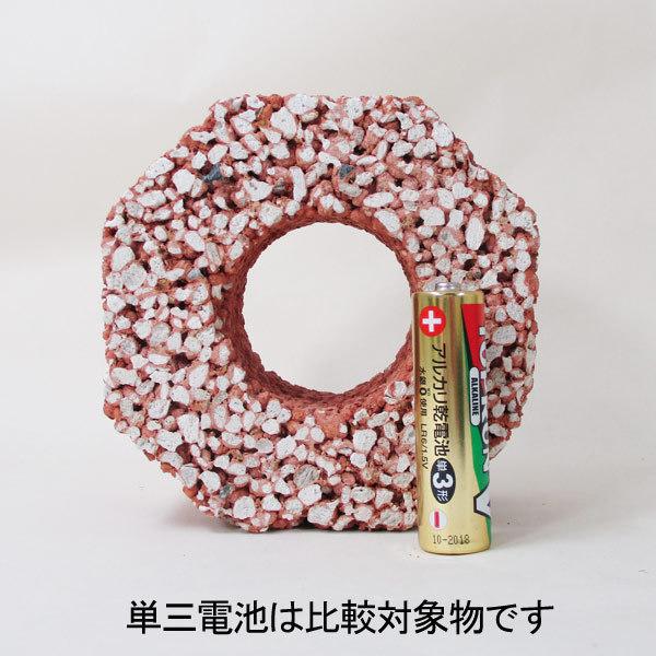 送料無料 バイオミニブロック（バイオ・ミニ・ブロック）水槽の水質浄化にｘ３個セット/卸 ベストバイオブロック 金魚用 | ジェックス株式会社