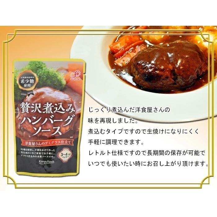 1485円 【税込?送料無料】 送料無料 贅沢煮込みハンバーグソース 希釈タイプ 希少糖使用 キンリューフーズ 120gｘ２０袋セット 卸  代金引換便不可品