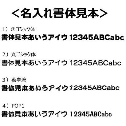 名入れデザイン作成　（指定内書体・完全データ入稿）naire１