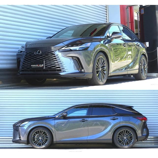 RS-R Best-i Active車高調(ベストアイアクティブ) レクサスＲＸ３５０ TALA15/4WD R4/11〜 バージョンＬ BIT232MA_1