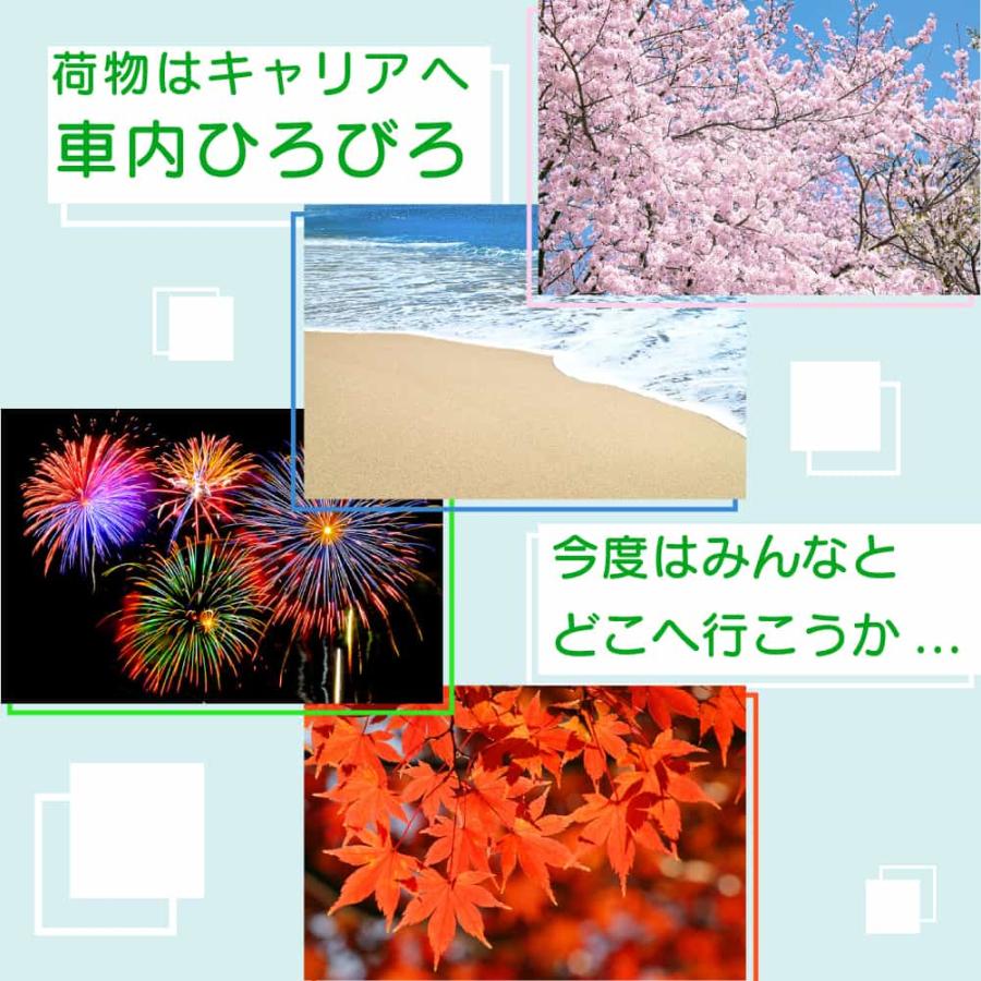 茶道具 色紙 臨済宗 大徳寺 管長 高田明甫 嶺雲 老師 掬水月在手