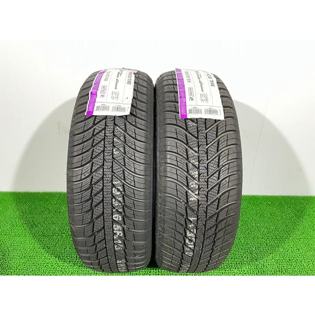 Pneumatico 4 Stagioni Nexen N'blue 4Season – 195/65R15 91T, Con Marchio M+S E 3PMSF, Efficienza Carburante E