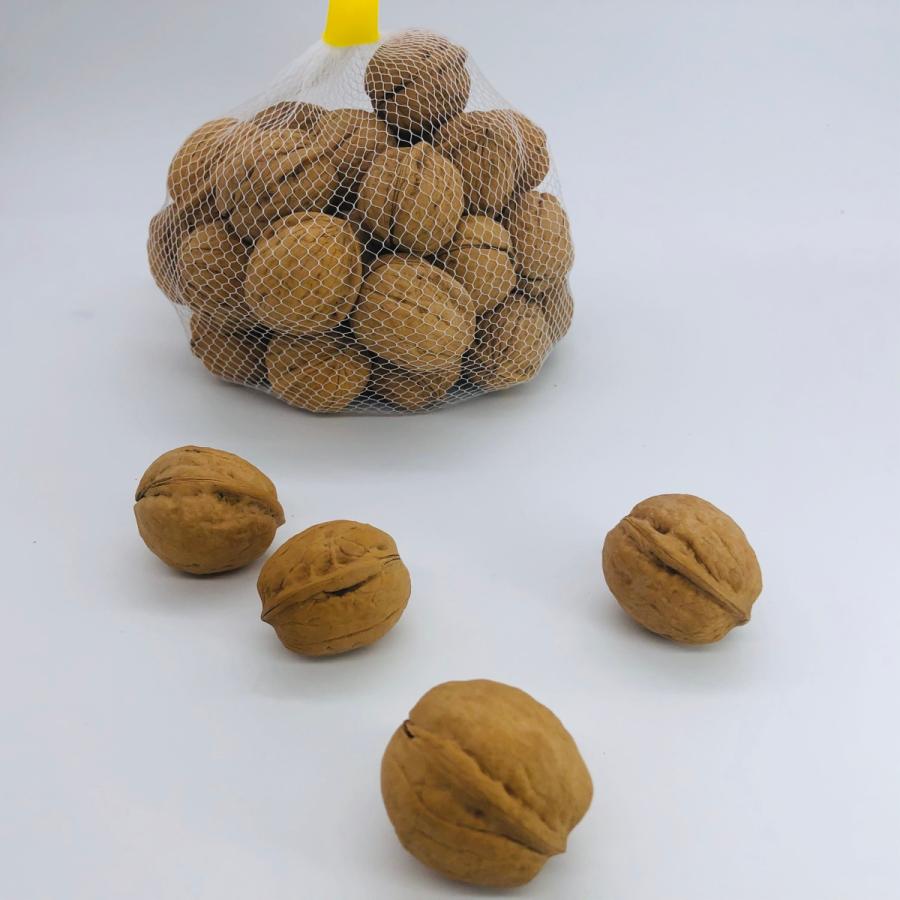 売り切れ 国産くるみ 殻付きタイプ(LLサイズ)【2kg】 生産者直売 売り切れ 国産くるみ 殻付きタイプ(LLサイズ)【2kg】 生産者直売