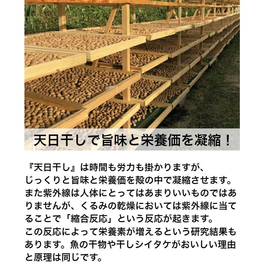 売り切れ 国産くるみ 殻付きタイプ(Lサイズ)【1kg】 生産者直売 売り切れ 国産くるみ 殻付きタイプ(Lサイズ)【1kg】 生産者直売
