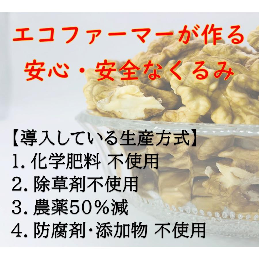 国産くるみ 殻付きタイプ(Lサイズ)【1kg】 生産者直売 長野県産 信濃
