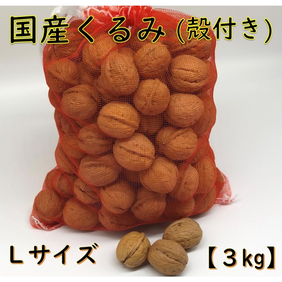 バターの実 国産 くるみ 殻付きタイプ Lサイズ 3kg 生産者直売 日本産 長野県産 クルミ 生くるみ ナッツ 送料無料 L 3000g ハッピーナッツ倶楽部 通販 Yahoo ショッピング