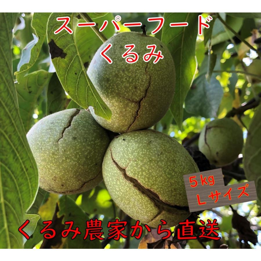 爆安プライス 21年9月予約開始 バターの実 国産 くるみ 殻付きタイプ Lサイズ 5kg 生産者直売 日本産 長野県産 クルミ 生くるみ ナッツ 送料無料 L 5000g ハッピーナッツ倶楽部 通販 Yahoo ショッピング お気にいる Www Htsstlucia Org