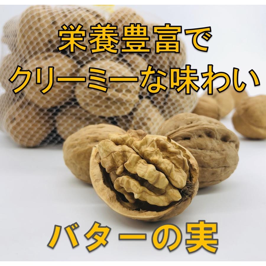 国産くるみ 殻付きタイプ(キングサイズ)【1kg】 生産者直売 長野県産