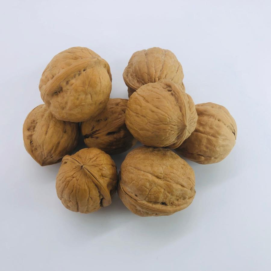 国産くるみ 殻付きタイプ(キングサイズ)【1kg】 生産者直売 長野県産