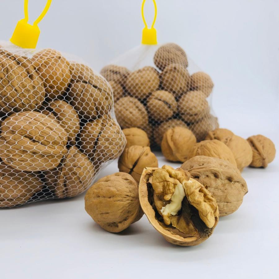 国産くるみ 殻付きタイプ(キングサイズ)【1kg】 生産者直売 長野県産