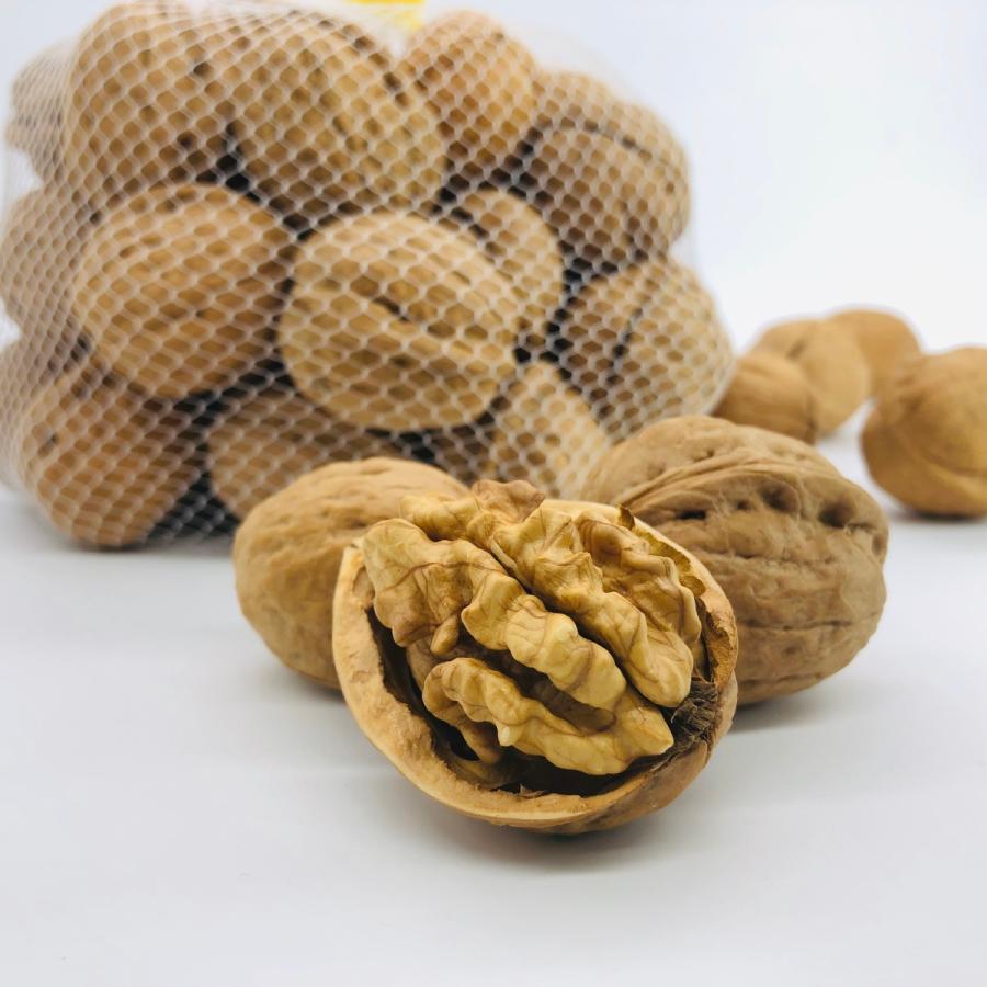 国産くるみ 殻付きタイプ(キングサイズ)【1kg】 生産者直売 長野県産