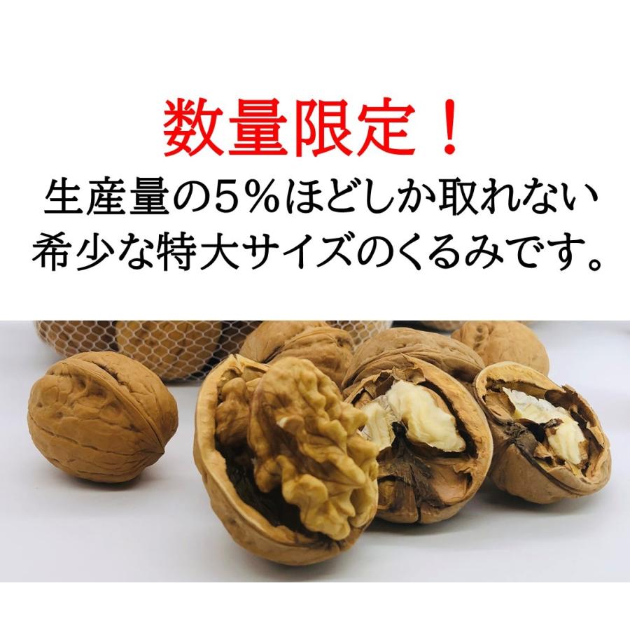 バターの実 国産 くるみ 殻付きタイプ キングサイズ 500g 生産者直売 長野県産 クルミ 生くるみ ナッツ 送料無料 一部除く Lll 500g ハッピーナッツ倶楽部 通販 Yahoo ショッピング