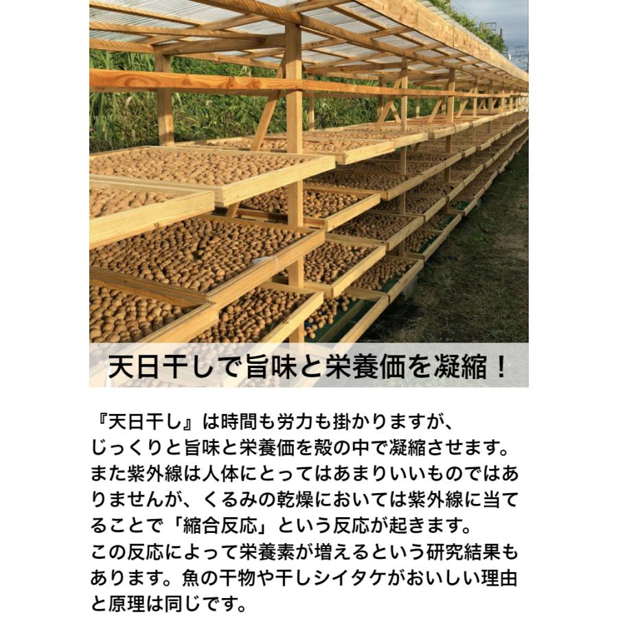 ※11月下旬販売開始　国産くるみ 剥きタイプ 【200g】生産者直売 国産 日本産 長野県産 むきくるみ クルミ 生くるみ ナッツ お得 おやつ 送料無料｜kurumi-alfarm｜04