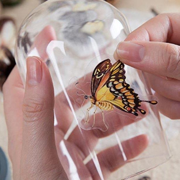 コラージュ シール ステッカー 蝶 ちょう チョウ 海外 レトロ フレーク