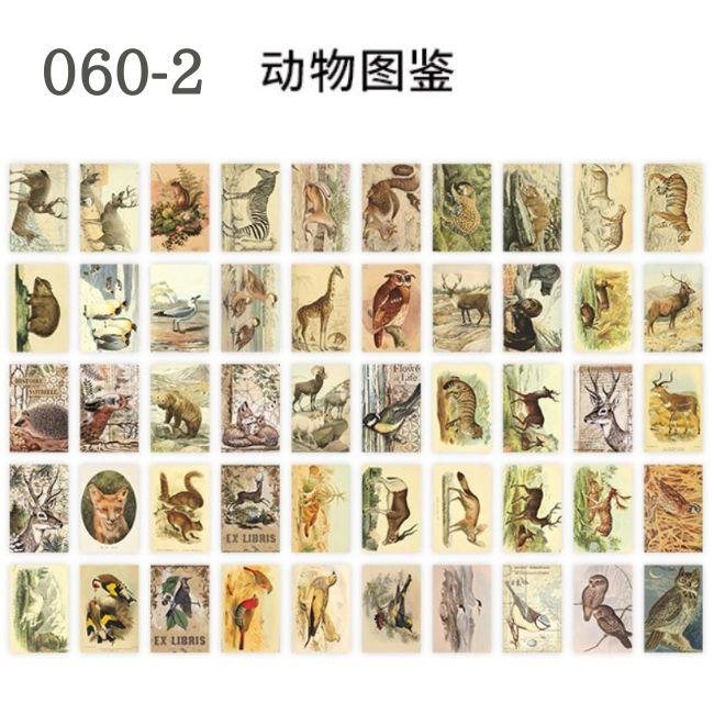 コラージュ シール ステッカー 海外 豆本 花 葉 植物 宇宙 キノコ