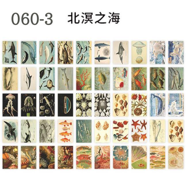 コラージュ シール ステッカー 海外 豆本 花 葉 植物 宇宙 キノコ