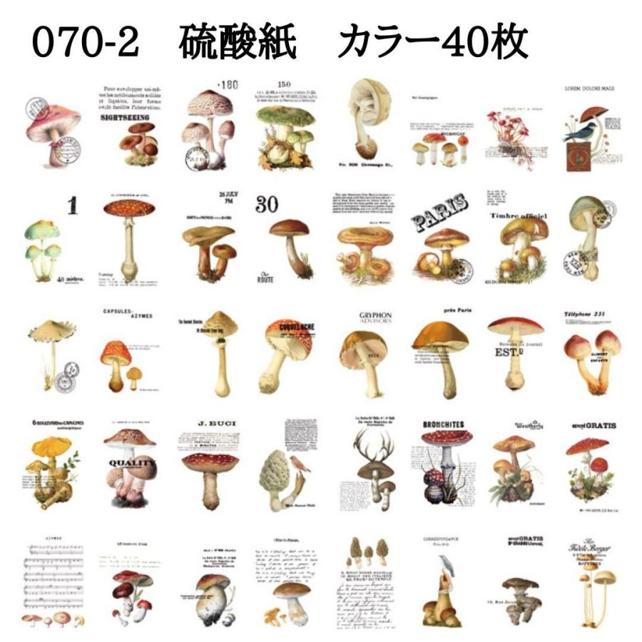 デザインペーパー 硫酸紙 花 葉 キノコ レトロ チケット 海外 シート