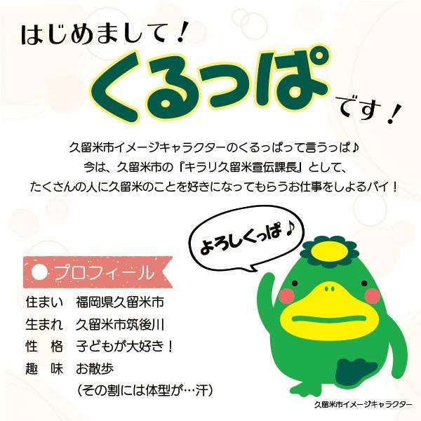 地場産くるめ くるっぱ くるっぱクッキー ミルク味 10枚入り a 地場産くるめ くるっぱ 通販 Yahoo ショッピング