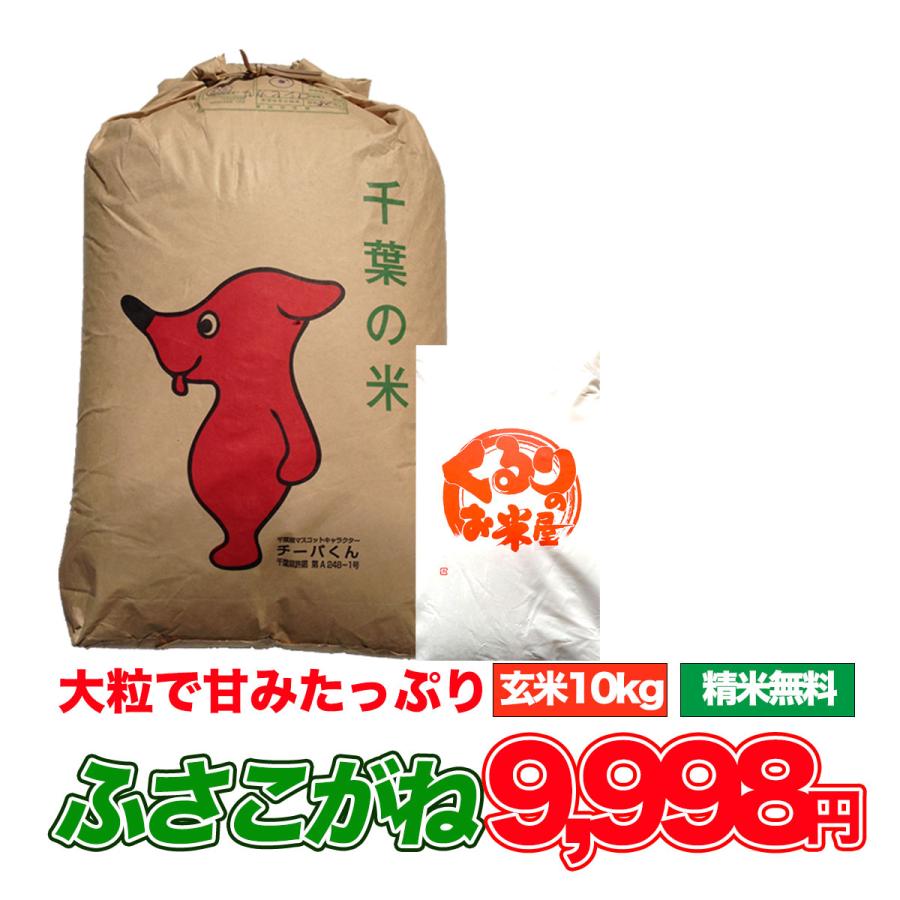 米 10kg お米 ふさこがね 玄米食でも安心の選別済 令和5年産 玄米 白米 8.8kg 精米 残留農薬検査済 残留農薬不検出 コメ 千葉県産  精米無料 送料無料 : husagen-10k-1 : くるりのお米屋 - 通販 - Yahoo!ショッピング