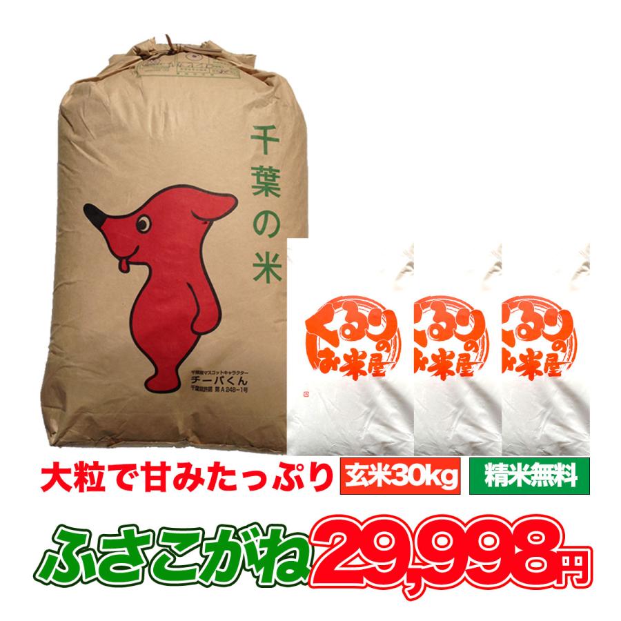 ふさこがね 30kg 令和6年産 米 お米 玄米食でも安心の選別済 ふさこがね 30kg 令和6年産 米 お米 玄米食でも安心の選別済
