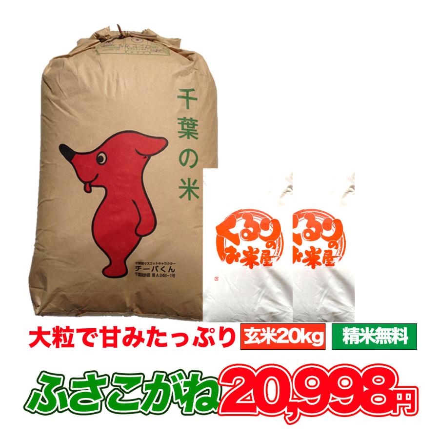 ふさこがね 20kg 令和6年産 米 お米 玄米食でも安心の選別済 ふさこがね 20kg 令和6年産 米 お米 玄米食でも安心の選別済