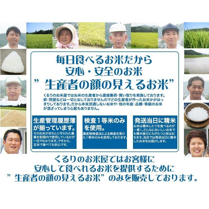 玄米 コシヒカリ 10kg 白米 発送可能 送料無料|kururi|03