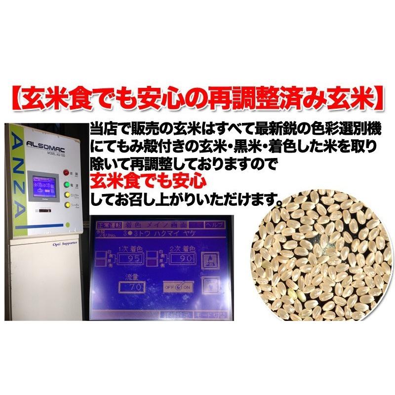 玄米 コシヒカリ 10kg 白米 発送可能 送料無料|kururi|05