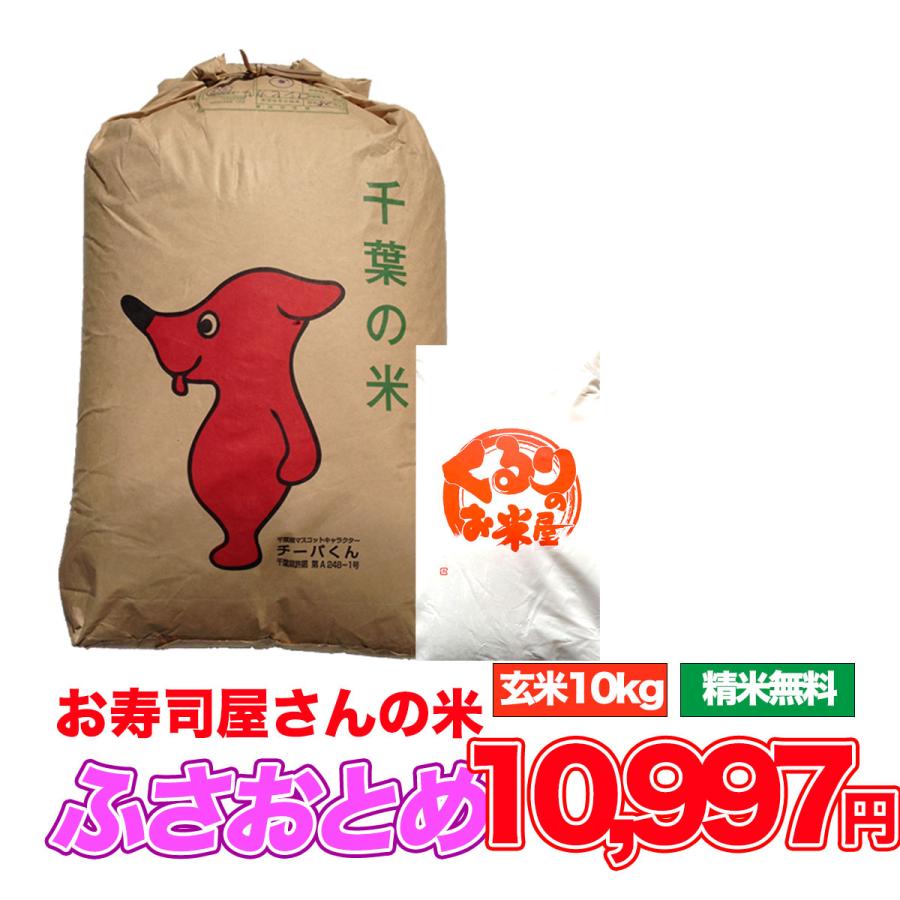 ふさおとめ 10kg令和6年産 米 お米 玄米食でも安心の選別済 玄米 ふさおとめ 10kg令和6年産 米 お米 玄米食でも安心の選別済 玄米