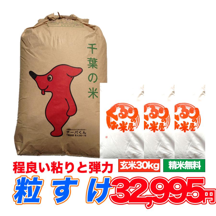 粒すけ 30kg 令和6年産 米 お米 玄米食でも安心の選別済 玄米 粒すけ 30kg 令和6年産 米 お米 玄米食でも安心の選別済 玄米