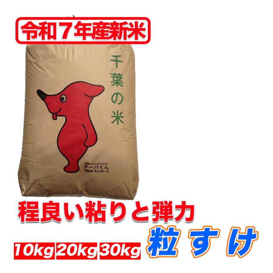 1000円OFFクーポン対象】粒すけ 10kg 20kg 30kg 米 玄米 お米 玄米食 