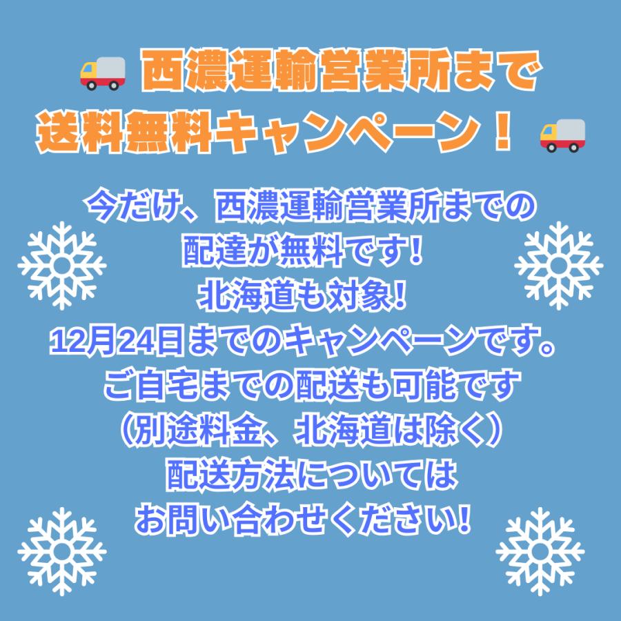 早期予約割引!支店止め無料発送 ワドーHST中型除雪機SX1092HT 早期予約割引!支店止め無料発送 ワドーHST中型除雪機SX1092HT
