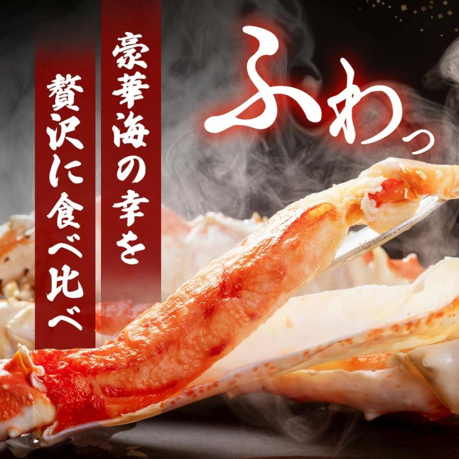 伊勢海老 本ズワイガニ 食べ比べセット】海鮮セット 生本ズワイガニ