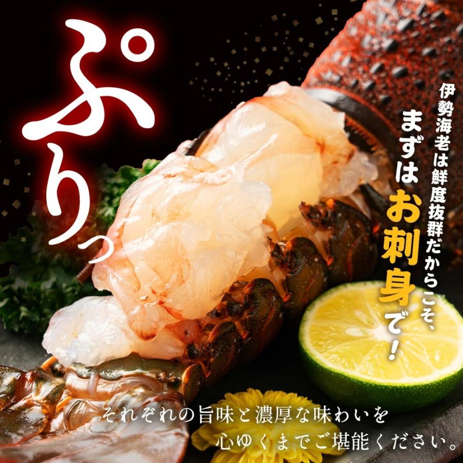 伊勢海老 本ズワイガニ 食べ比べセット】海鮮セット 生本ズワイガニ