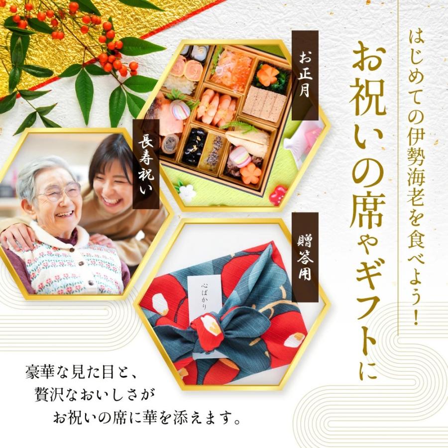 伊勢海老 本ズワイガニ 食べ比べセット】海鮮セット 生本ズワイガニ